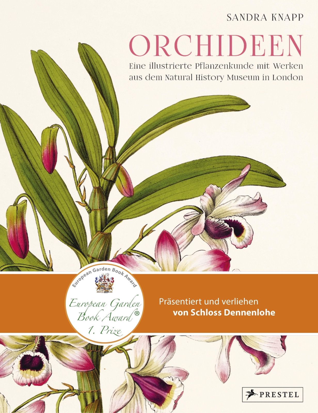 Thumbnail - Orchideen, Sandra Knapp