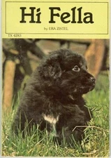 Hi Fella Era Zistel (1977)
