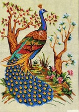 Needlepoint tapestry painted canvas C909 - Peacock 24"x34"  GobelinL