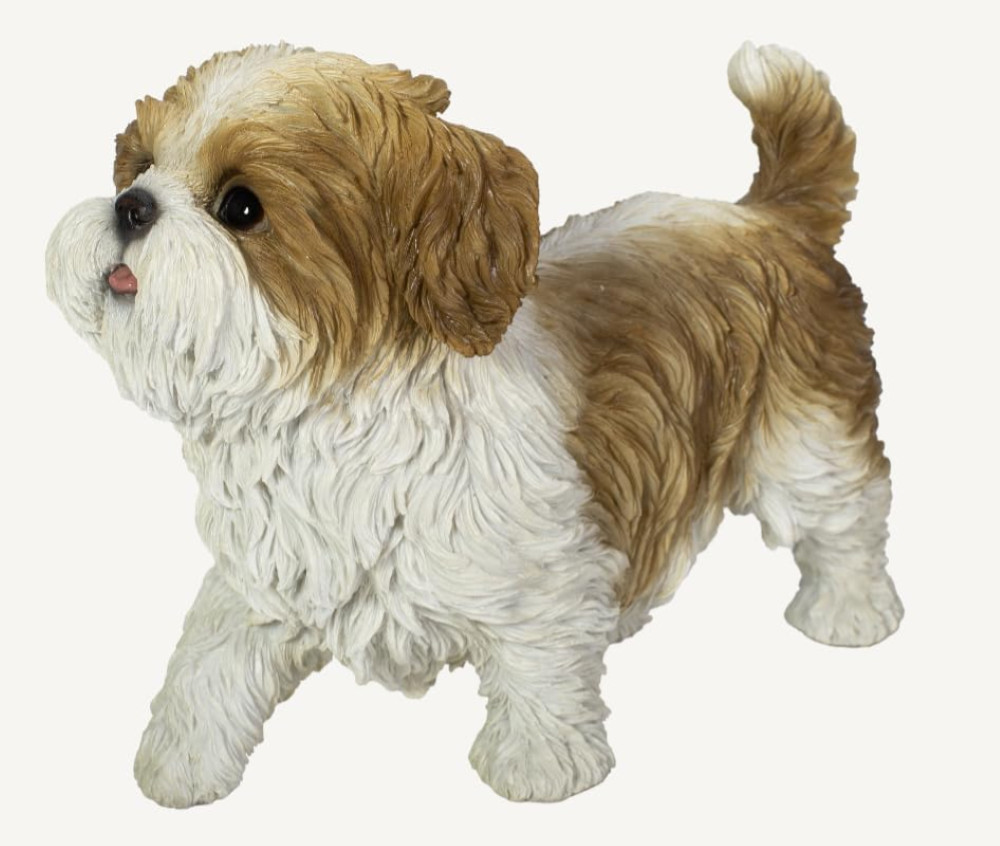 Vivid Arts - Cuccioli attivi Shih Tzu marrone - AP-STZU-D