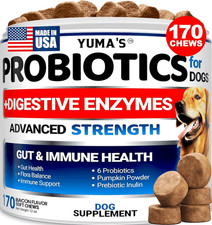 Probiotics for Dogs 170 Chews Bacon Flavor Immune Support Gut Health Chews
