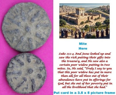 2 Nice Widows Mite Coins Holy Land Artifact Small Leptons Export Permit COA R975