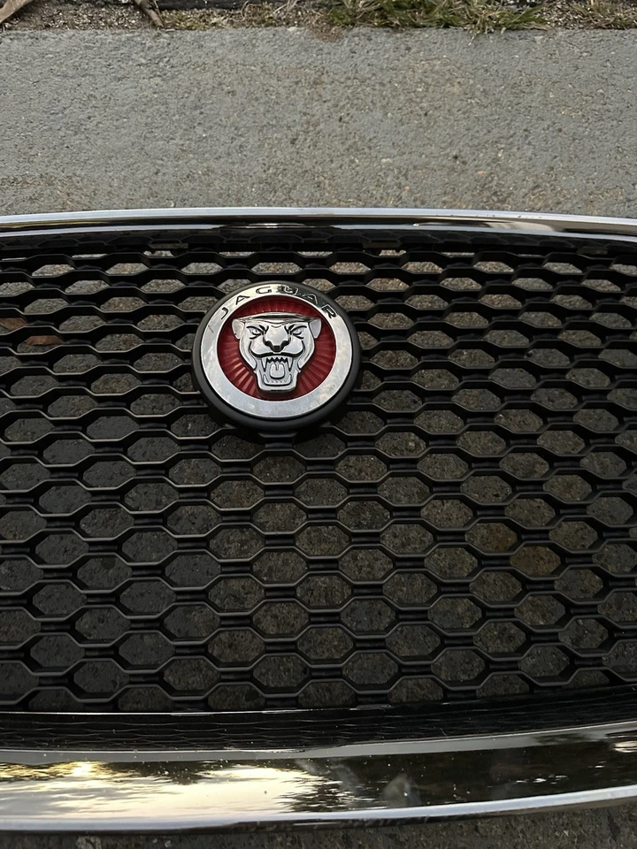 Rejilla superior delantera 17-20 Jaguar F-Pace OEM HK83-018K28-AA ver mancha 18 19 Foto 4 de 4