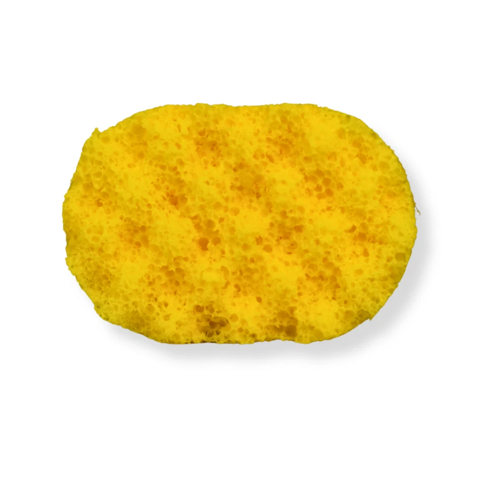 Soap Sponge Dino Egg Rawr-some Lemon Scented Bath Shower Scentish