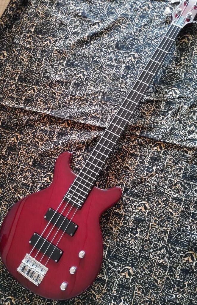 EDWARDS E-J-140 Fire Black LUNA SEA Jモデル