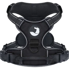 Joytale Adjustable Dog Harness with two Leash Clips, Reflective Vest for Dogs