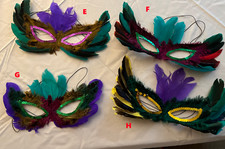Mardi Gras Feather Masks Set of 2