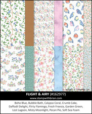 Stampin' UP  "FLIGHT  AIRY" 12x12 Designer Series Paper - NEW RETIRED
