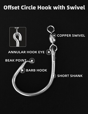 best alvey reel for surf fishing Champion 60GT Combo A Captain Mitchell 624 Eagle 7 Model:AMAXLP/701MH (Baitcasting)