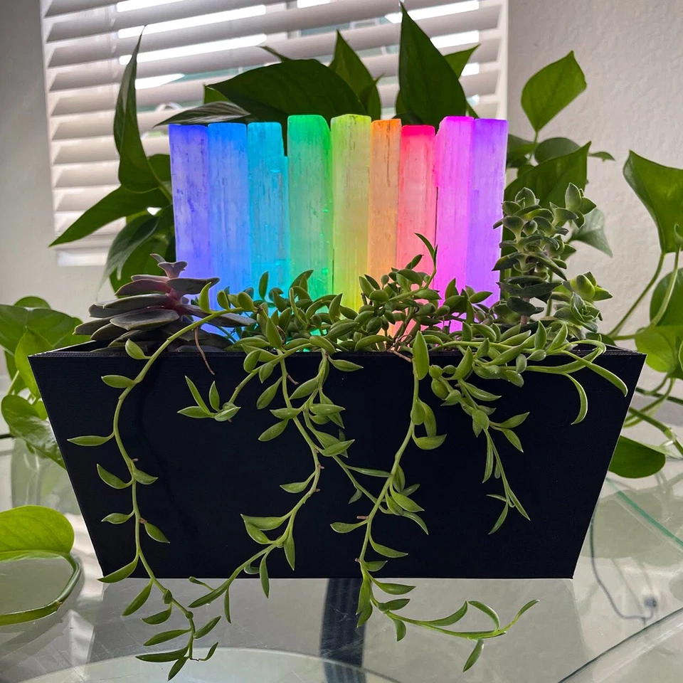 Black Crystal Garden - Indoor plants and succulents pot with Selenite Crystals - Image 2 of 4