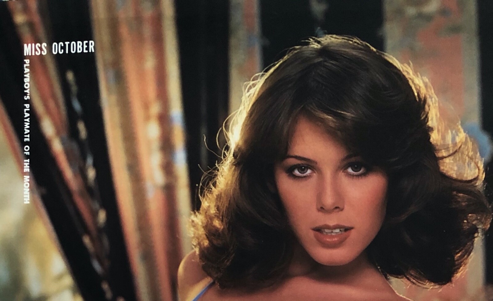 Vintage 1981 Miss October Kelly Ann Tough Playboy Centerfold and Pictorial  only | eBay