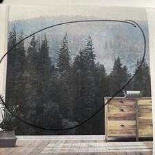 Signford wall mural woodland nursery decor removable wallpaper 120x96 new