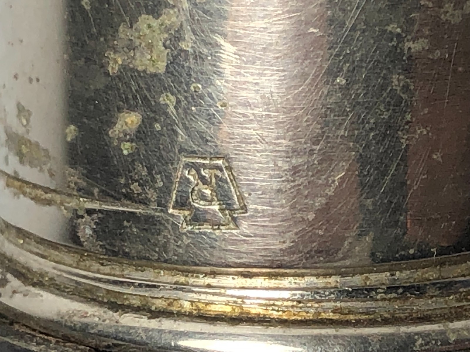 Antique CF Rumpp & Sons Pocket Hip Flask Crocodile Leather Wrapped Glass