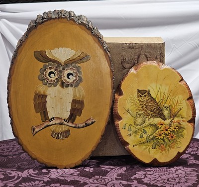 Owl On Branch Hand Painted Wood Set of 2 Paintings