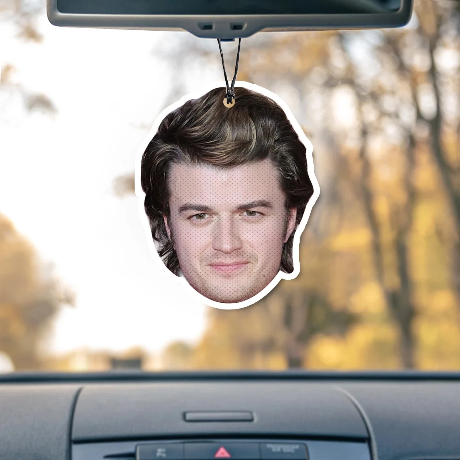 Joe Keery Unscented Hanging Car Air Freshener Freshie