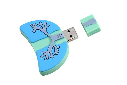Simulated Skull Lung USB Flash Drive 64GB Creative Halloween Gifts Memory Stick - Afbeelding 8 van 24