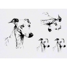 4 x 'greyhound' Temporary Tattoos / Transfers TO00066074 