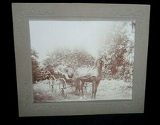 Cabinet Card--Gentleman in Horse Drawn Buggy -Sharpsburg, Penn.