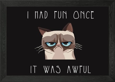 Grumpy Cat Meme gerahmtes Wandbild Poster Druck Bild