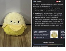 HUGE Squishmallow  Plush Bundle 24 pieces    60 OBO