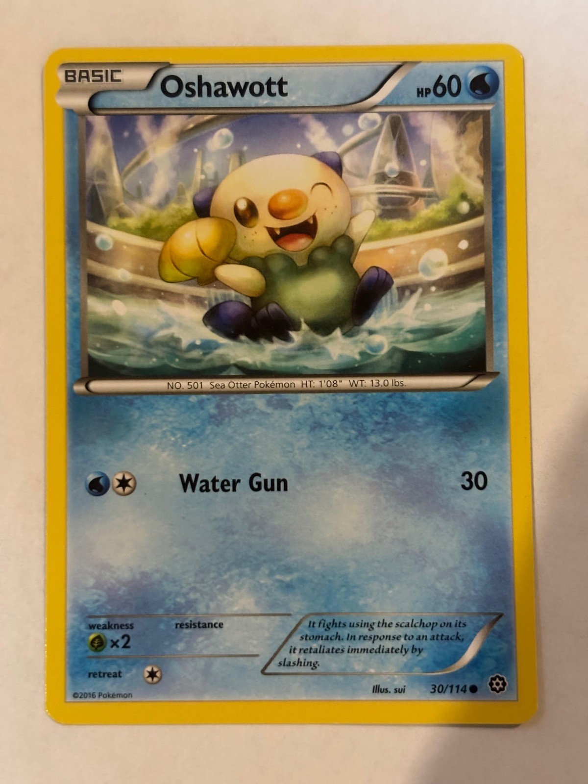 Oshawott Common XY - Steam Siege 30/114 NM