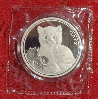 1 Unze oz Silber Fiji CATS 2022 – 2. Ausgabe – nur 12.000 Stk. OVP Prooflike