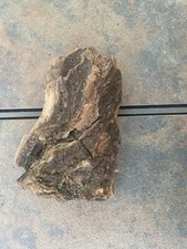 Natural Driftwood for Plants Terrarium Taxidermy Art Projects