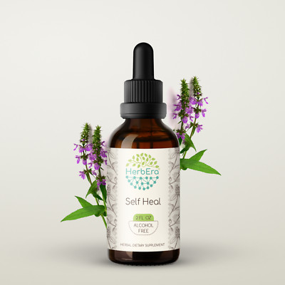 HerbEra Self Heal Alcohol-FREE Tincture Organic (Heal All, Prunella Vulgaris)