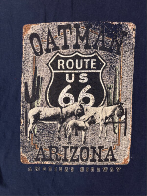 Oatman Arizona Route 66 T-shirt Men's XL  Alstyle Apparel Activewear Blue