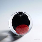 Foto 4 di 6