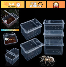 5 Pcs Transparent Terrarium Breeding Box for Small Reptiles, Spiders  Insects