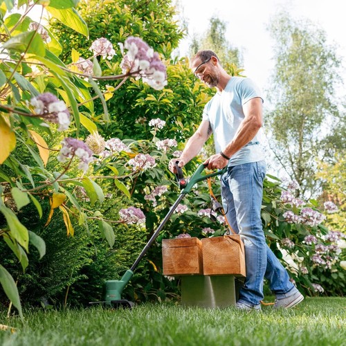 Bosch Electric Grass Trimmer EasyGrassCut 26 (280 Watt, Cutting Diameter 26 cm, - Picture 3 of 4