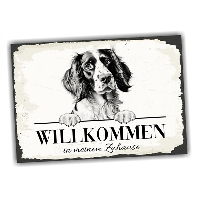 Hundeschild Willkommen Zuhause Springer Spaniel No.1 Dog Schild Spruch Türschild