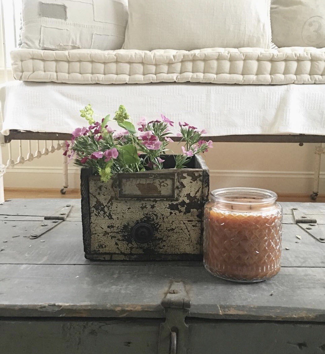 Mulled Cider 16 oz Gold Canyon Candles Any Other Fragrances ? NEW eBay