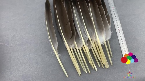 Plumas de faisán naturales pluma de ala de pato 30-35 cm/12-14 pulgadas para joyería hágalo usted mismo - Vídeo 1 de 1