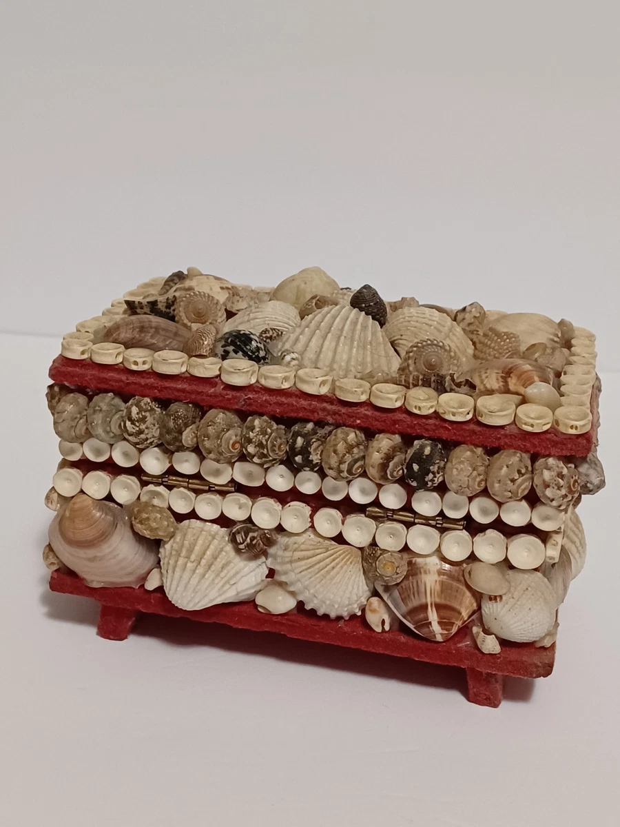 贝壳盒| eBay