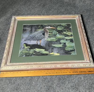 After the rain by Terry Isaac Realistic Heron Bird Print Framed16x20in