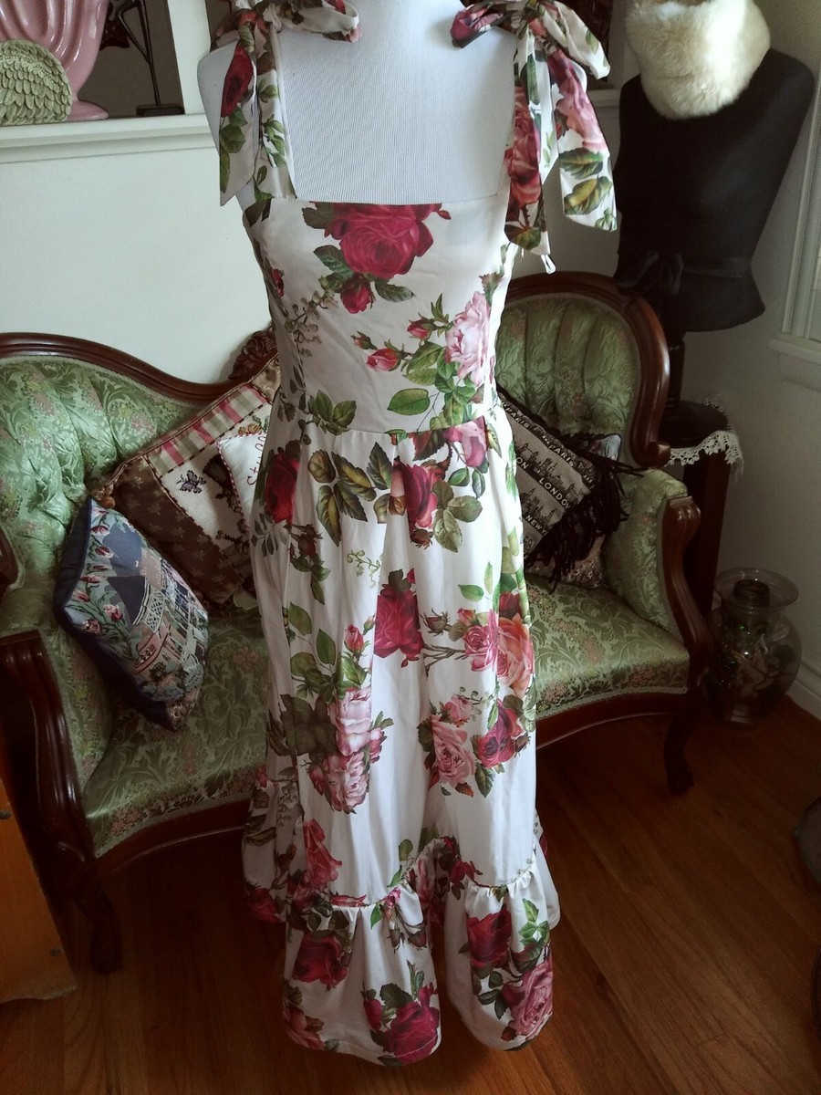 Anthropologie Especia Fabulous Rose Print Long Fit & Flare Dress Ruffle Hem  Sz M | eBay