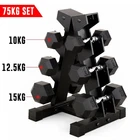 Hex Dumbbell 3 Tier Rack Storage Stand Tree With Dumbbells Set Home Gym fitnes