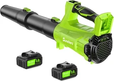 Electric Leaf Blower Cordless with 2 3.0Ah Battery and Charger, 2 Speed Mode 650