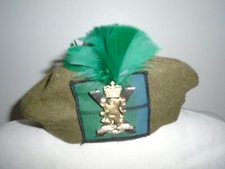 ROYAL REGIMENT OF SCOTLAND TAM O SHANTER GREEN HACKLE APPROX 55CM BRITISH ARMY