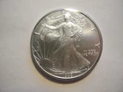 1999 U.S. Silver Eagle Coin--Satin BU