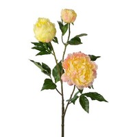 artplants Deko Zweig Pfingstrose Crunt, Gelb-Rosa, 85Cm