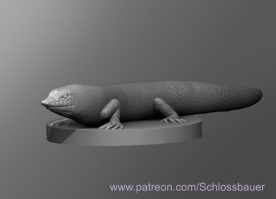 Sandfish Skink Lizard Monster Manual 28mm Scale DND D&D Tabletop Miniature SB