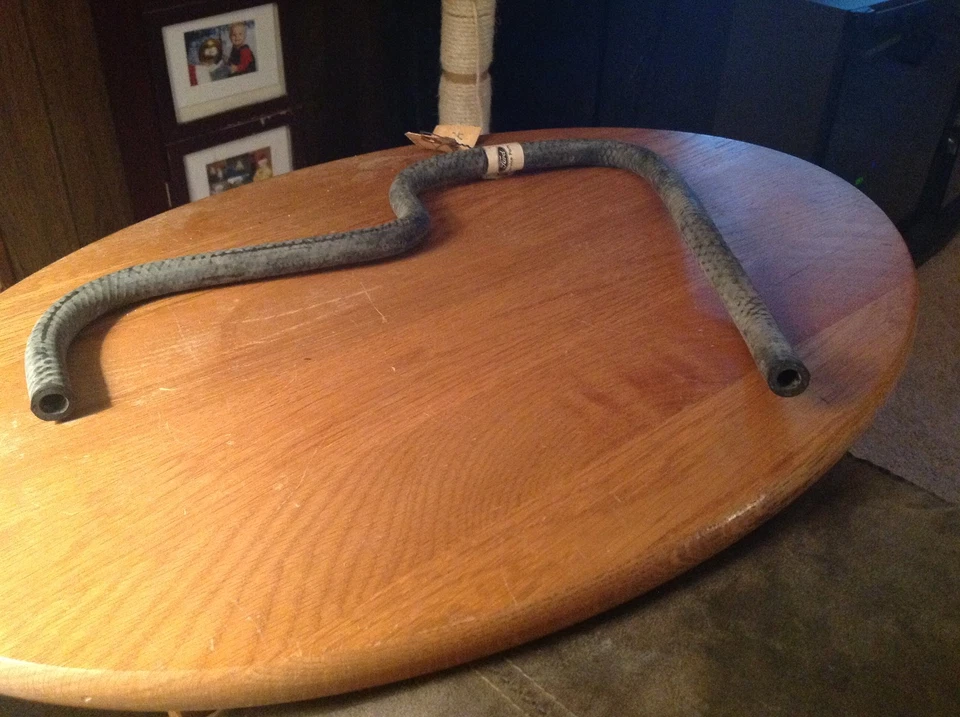 Ford Ranger 1984 Bronco II 1983 manguera de calefacción de montaje a tubo 3/8" - nuevo OEM  Foto 2 de 2