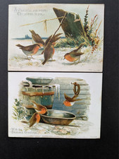 Victorian Xmas Greeting Cards Matched Pair of Robins in Snow S Hildesheimer