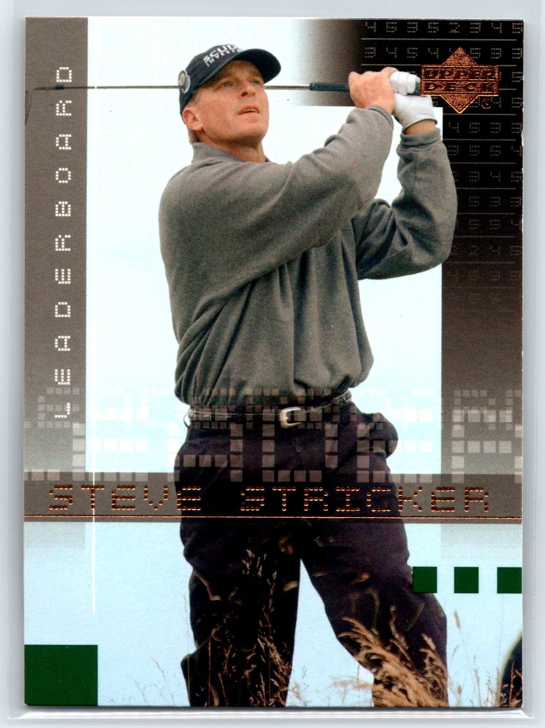 2002 Upper Deck Steve Stricker Leaderboard #99
