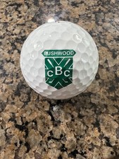 LOGO GOLF BALL-ORIGINAL 2016 BUSHWOOD COUNTRY CLUB-TX-CADDYSHACK-PROV BALL   