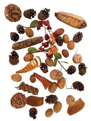 Lot Of Natural Decoration Fillers *Rattan Twists, Tiny Pinecones And More