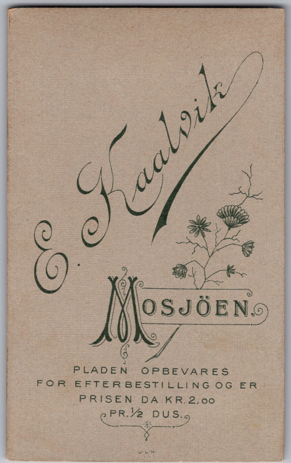 CDV CIRCA 1890s KAABVIK HANDSOME YOUNG SOLDIER HOLDING RIFLE MOSJOENS NORWAY — additional view